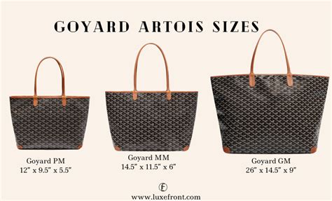 pm vs gm goyard|goyard artois size comparison.